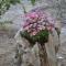Floralia
