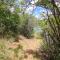 Robin Cottage Da Gama Lake