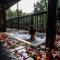 Thulamela Couples Retreat