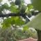 Yucan Ecostay Bedugul