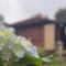 Yucan Ecostay Bedugul