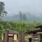 Yucan Ecostay Bedugul