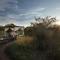 Safari Plains