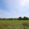 Brecknock Cheviot - The Sheepfold