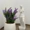 El Greco Apartments in Tigaki, near the sea - No 4