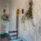Hostel Flor da Vida