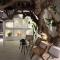 Apollon Boutique Hotel