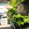 ROESLI Guest House