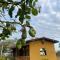 Baruch Tropical Ranch