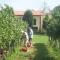 Agriturismo LAlbara - Wines, Pool & SPA