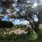 Monte Borboleta - Villas, Apartments