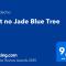 Flat no Jade Blue Tree