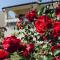 Apartman Ostrea ***