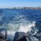 Hausboot mit Motorboot