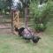 Solar de Campo