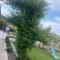 Villa Le Luberon