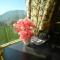Shaantvan Homestay-Near Bhalughar Waterfall-Mukteshwar