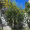 La Fonte Guest House