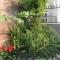 Nagarjun Home Stay