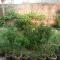 Nagarjun Home Stay