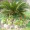 Nagarjun Home Stay