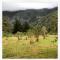 Pat Busch Mountain Reserve - Robertson