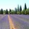 Luberon & Lavandes