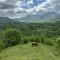 VILA DISHA