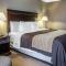 Comfort Inn & Suites near Tinley Park Amphitheater