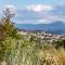 Terre Luberon