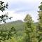 Apartment in Bavarian Forest Mountain View