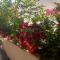 Apartments Gazi