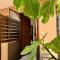 The Fig Tree Apartment