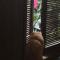 September Huizhou Inn