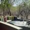 African Bush Escape
