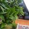 Guest House Adilaj