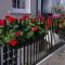 Luxury lower ground floor apartment street view