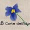 B&B Corte dell Idume