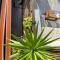 Dalmatia Nin apartment