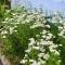 Lovely 4 bed in Mutare - 2178 Lovely 4 bed in Mutare - 2178