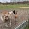 Billund Farm Holiday