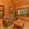 Family indoor pool cabin theater room