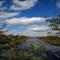 Villa in Friesland with Jacuzzi and Sauna
