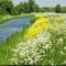 Villa in Friesland with Jacuzzi and Sauna