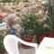 Hotel Eleftheria