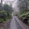 Red Rocks Mountain Retreat, Browns Mountain, Kangaroo Valley