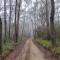 Red Rocks Mountain Retreat, Browns Mountain, Kangaroo Valley