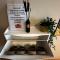 Minimalist 1-bedroom condo unit CASA TIMMY