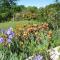 B&B La Cigaline photo 14
