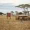 Pumzika Luxury Safari Camp - 巴纳吉